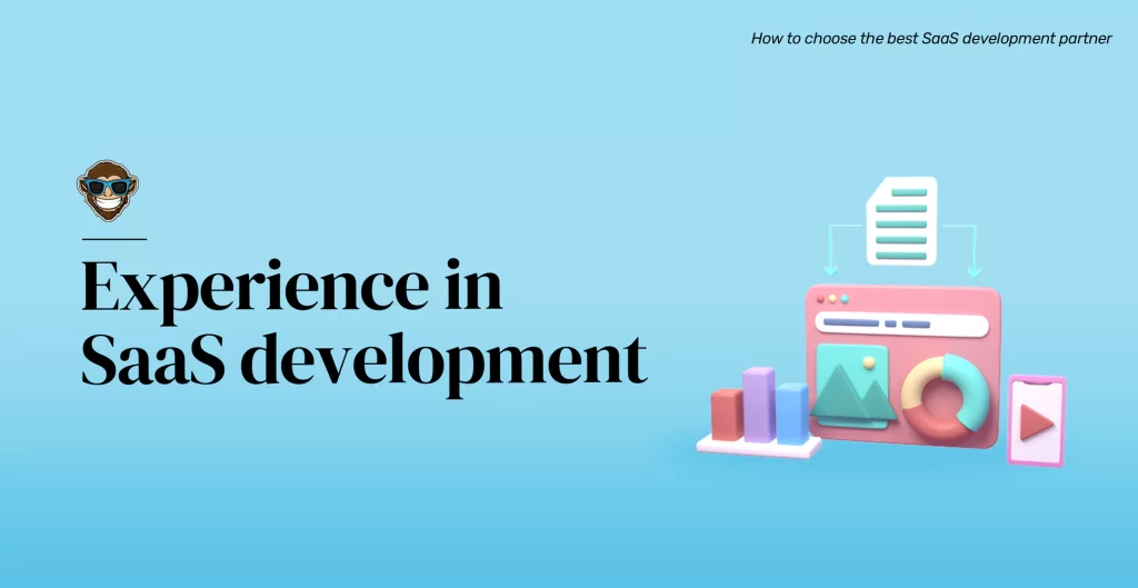 Experience in SaaS development