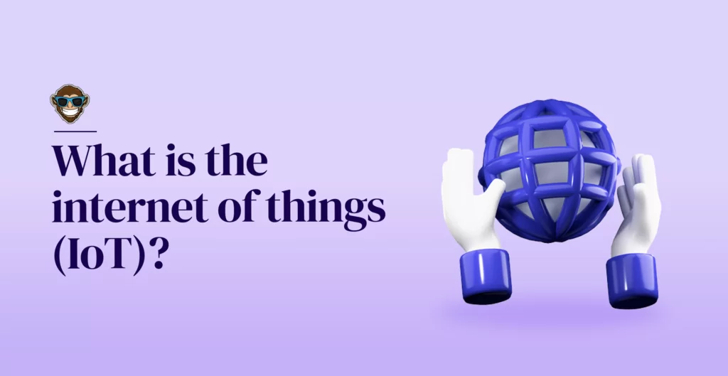 What is the internet of things (IoT)?