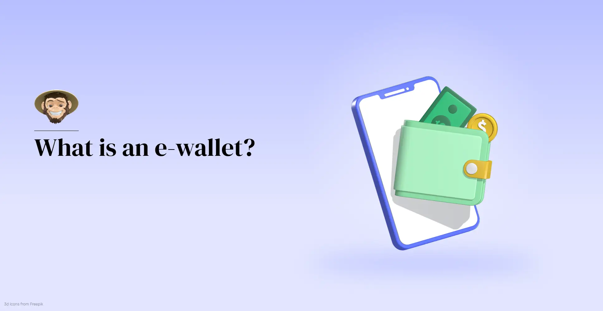 E-wallet Security Measures