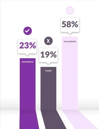 Image with statistics from the Standish Group