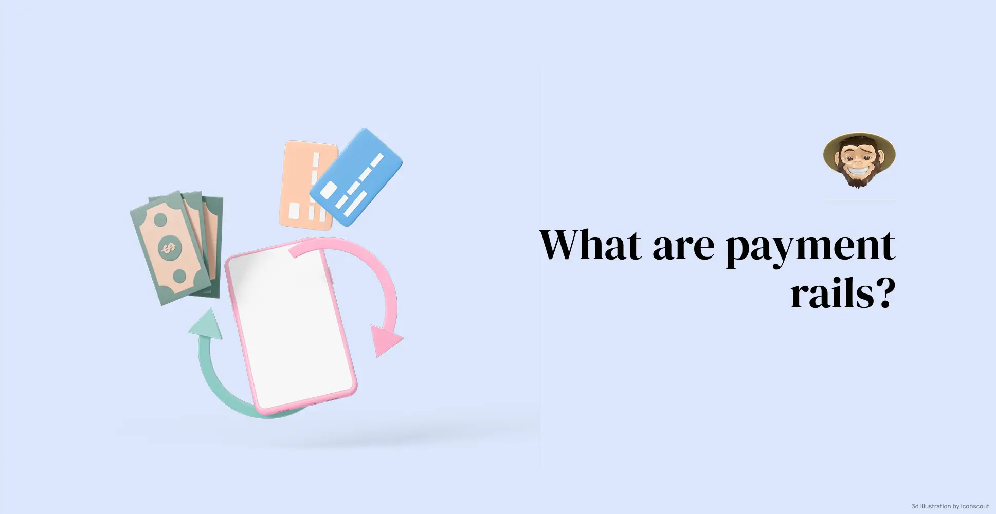What are payment rails?