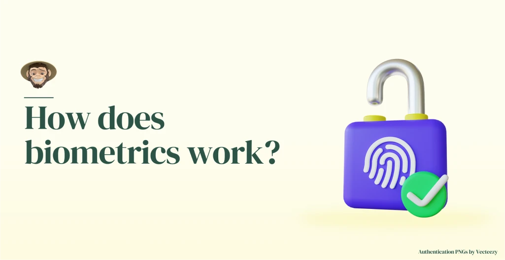 How does biometrics work?