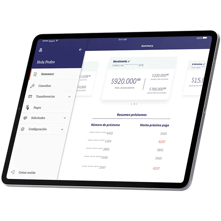 Definiciones de planificación y requisitos técnicos - BSJI inc