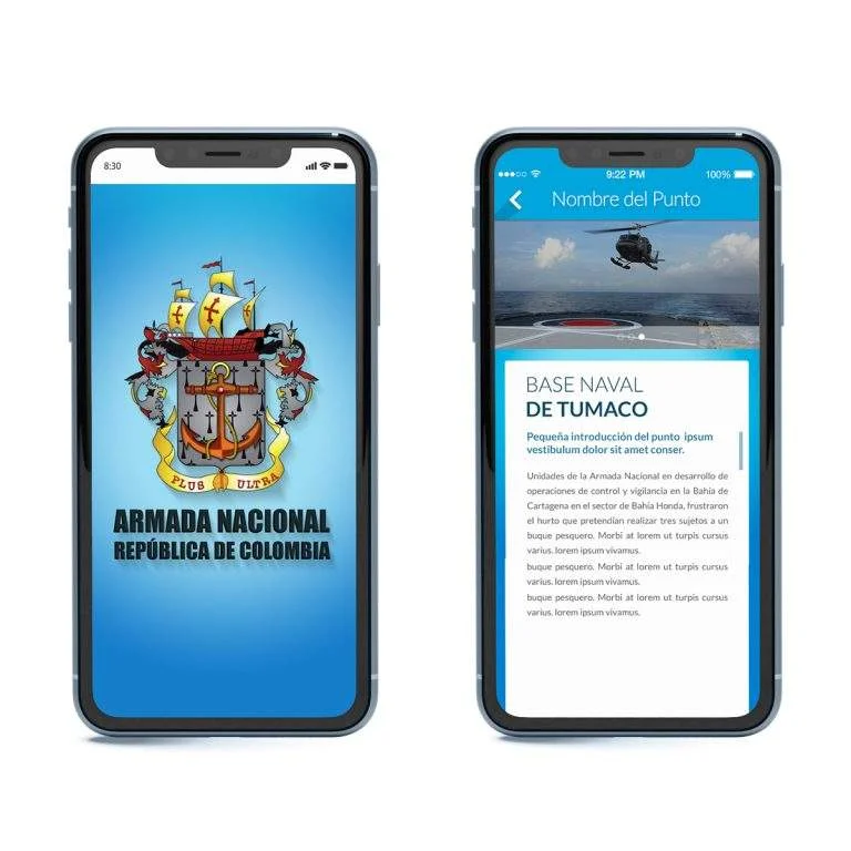 Discovery, Planning, and IT Consultancy - Armada Nacional de Colombia