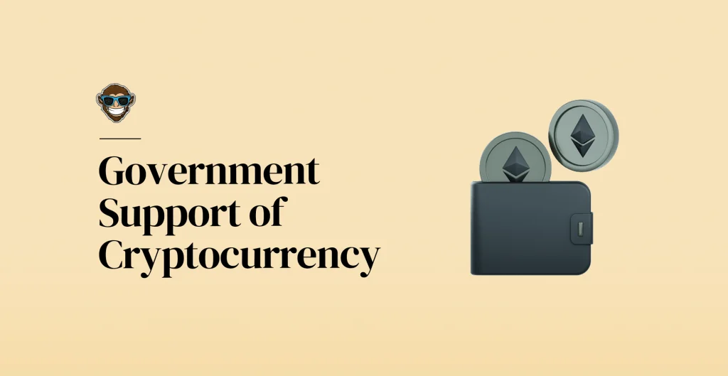 Government Support of Cryptocurrency
